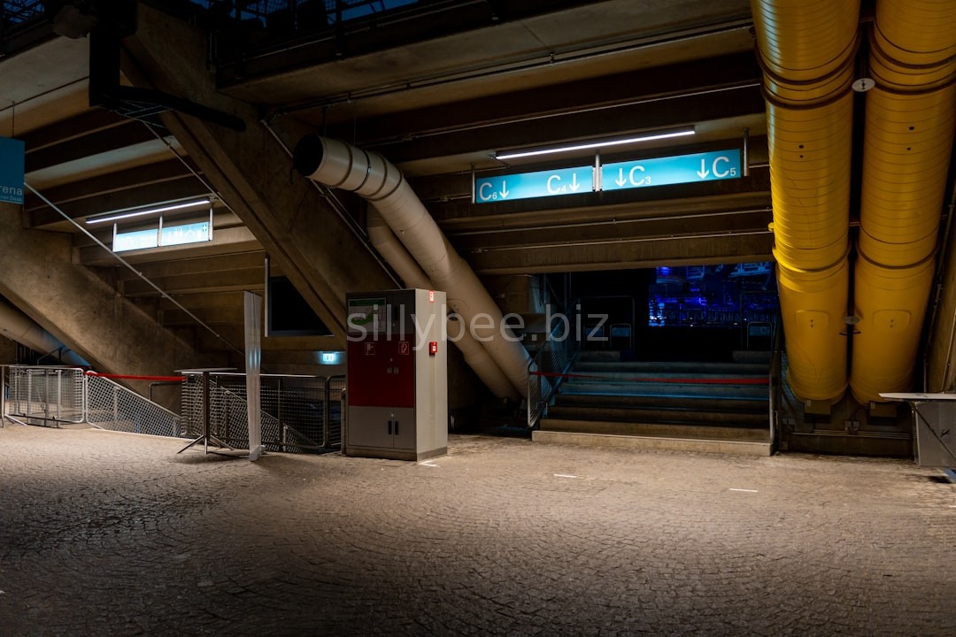 Gallery 1